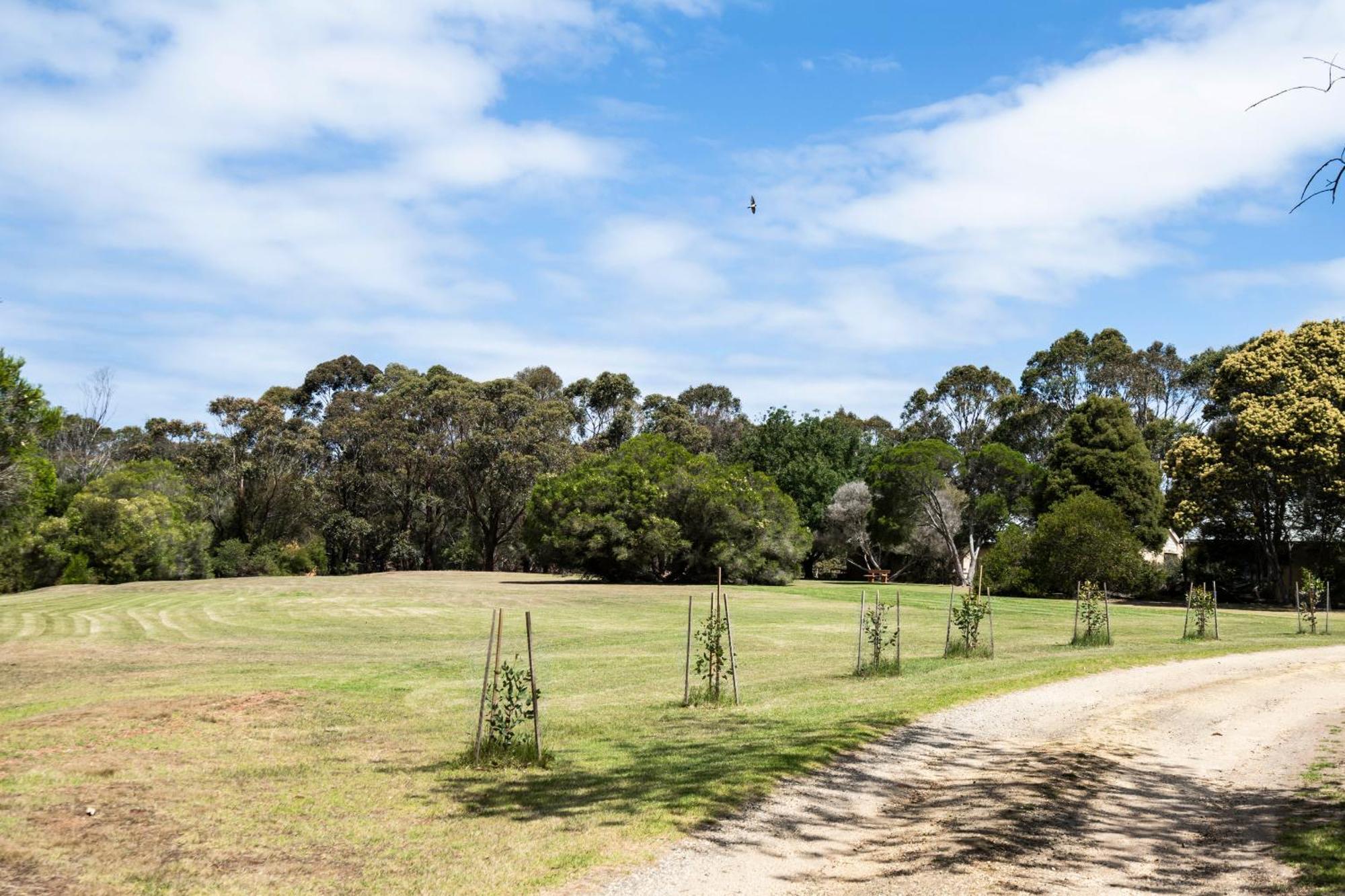 Bells Beach Cottages Bellbrae Экстерьер фото