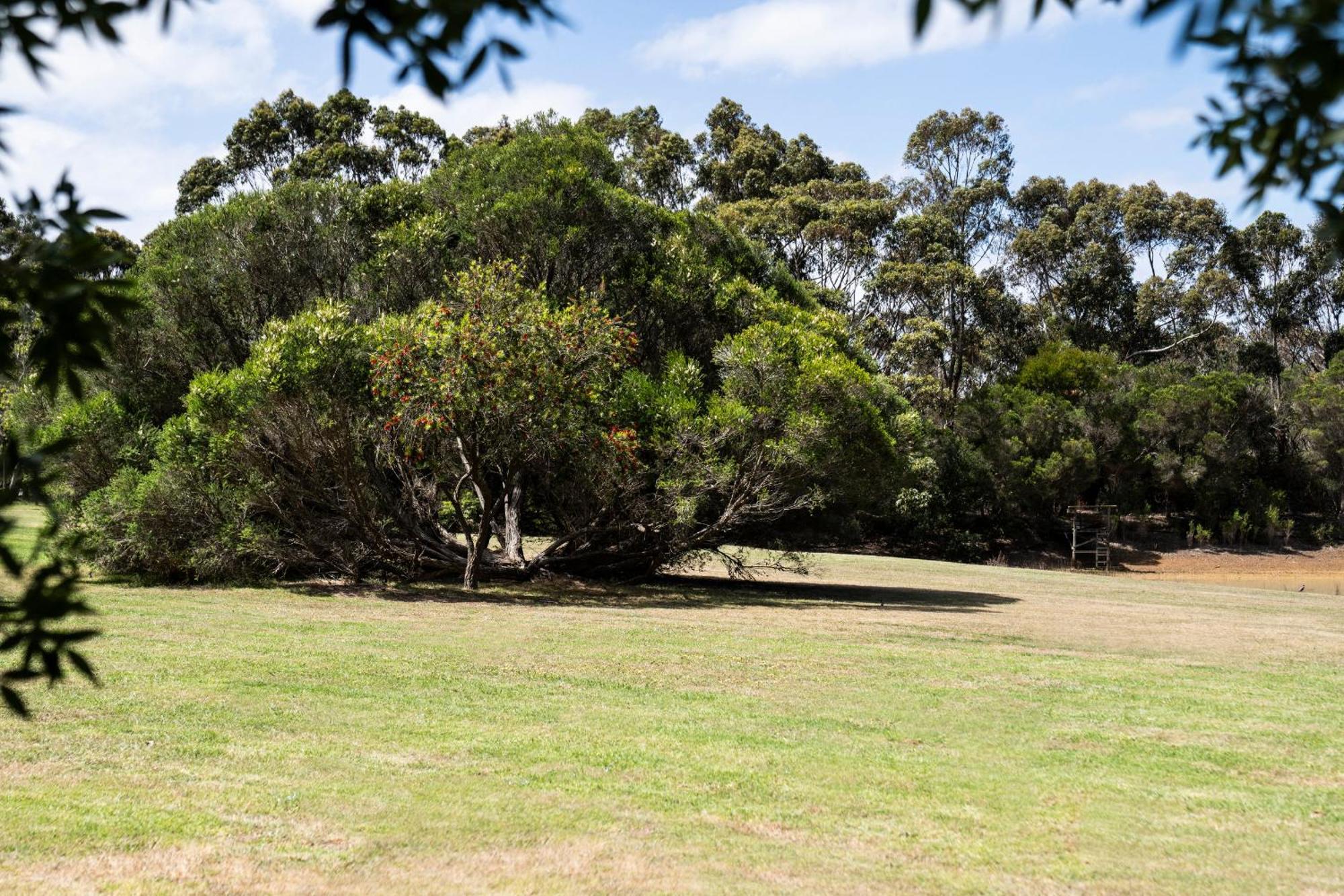 Bells Beach Cottages Bellbrae Экстерьер фото